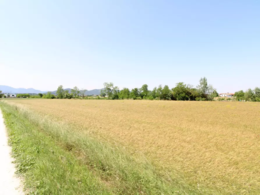 Immagine 7 di Terreno in vendita  in Via Palù Superiore a Pernumia
