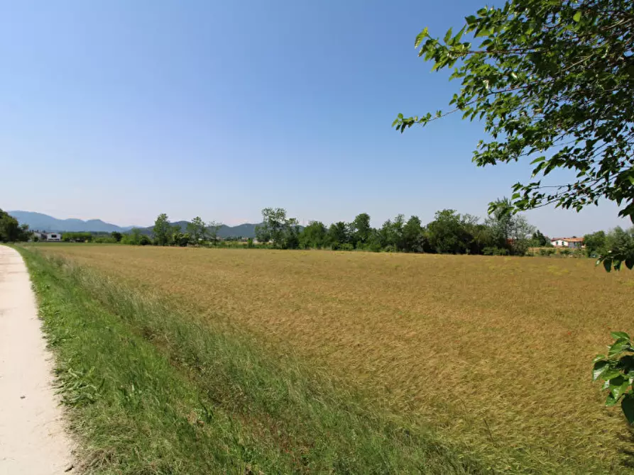 Immagine 8 di Terreno in vendita  in Via Palù Superiore a Pernumia