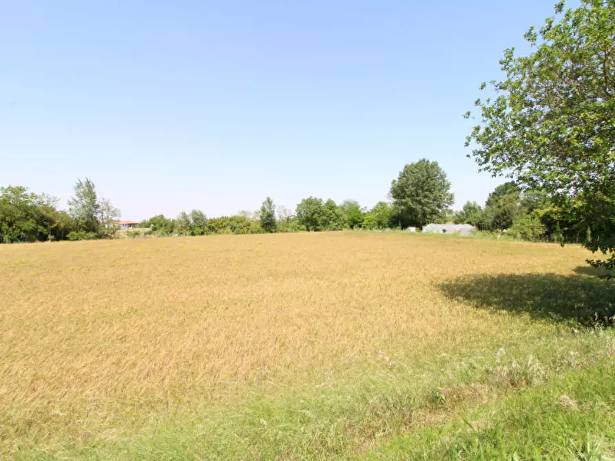 Immagine 9 di Terreno in vendita  in Via Palù Superiore a Pernumia