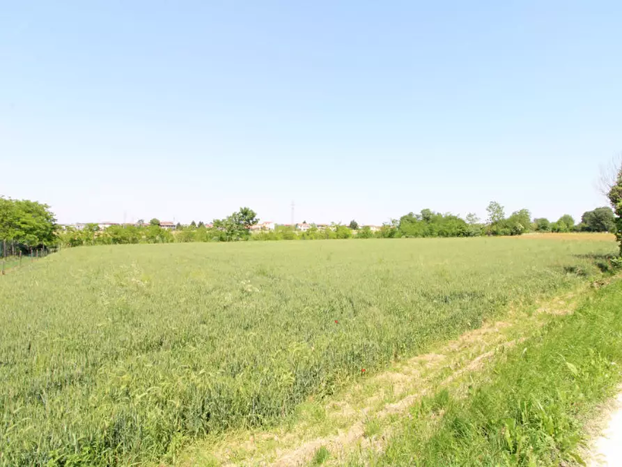 Immagine 11 di Terreno in vendita  in Via Palù Superiore a Pernumia