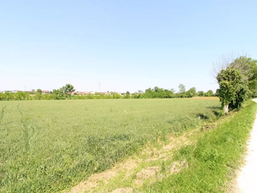 Immagine 12 di Terreno in vendita  in Via Palù Superiore a Pernumia