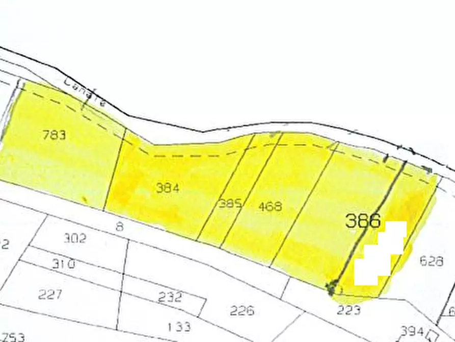 Immagine 13 di Terreno in vendita  in Via Palù Superiore a Pernumia