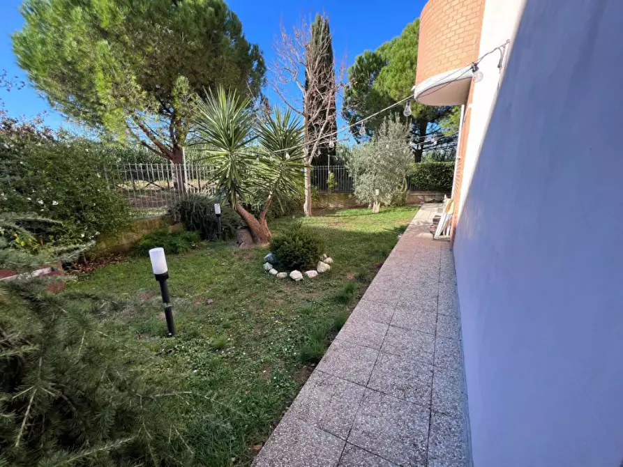 Immagine 31 di Appartamento in vendita  a Senigallia