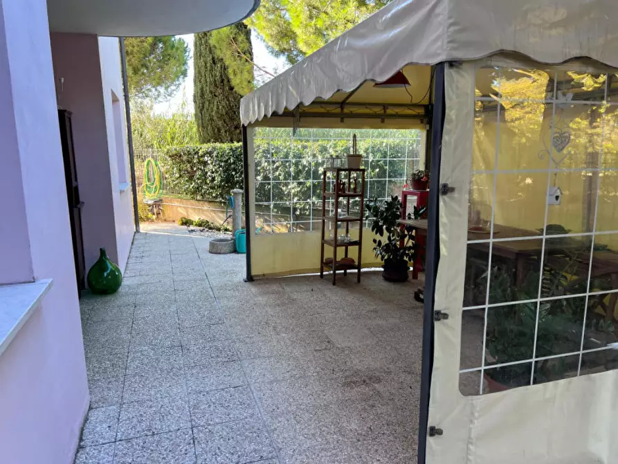 Immagine 36 di Appartamento in vendita  a Senigallia