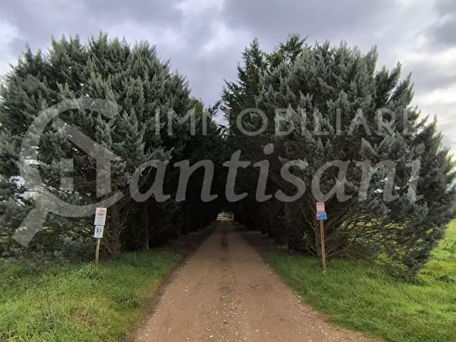 Immagine 40 di Appartamento in vendita  in Mattagnano a Vicchio