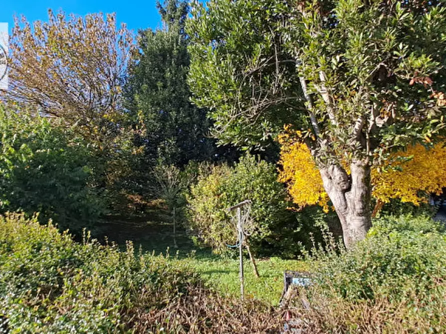 Immagine 2 di Appartamento in vendita  in Via Montà a Padova