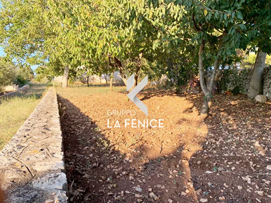 Immagine 16 di Rustico / casale in vendita  in Contrada Caporizzo a Locorotondo