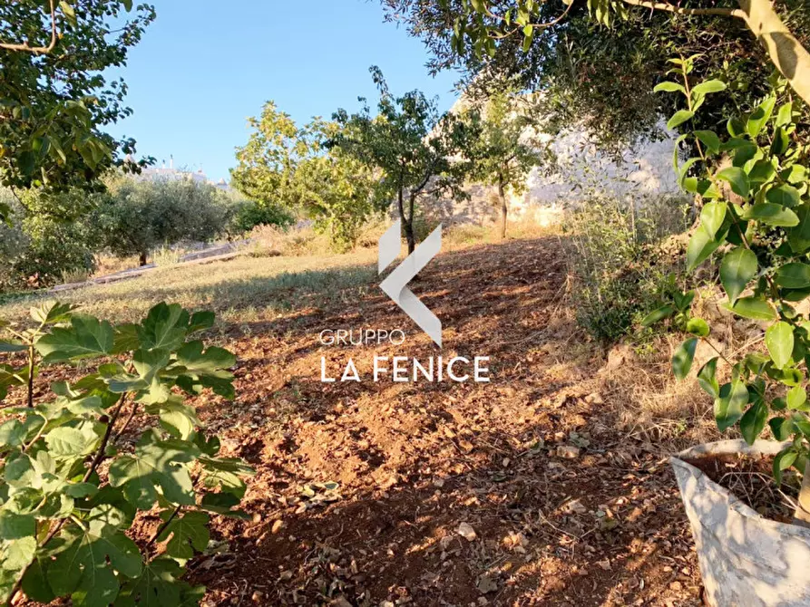 Immagine 17 di Rustico / casale in vendita  in Contrada Caporizzo a Locorotondo