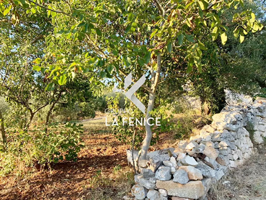 Immagine 18 di Rustico / casale in vendita  in Contrada Caporizzo a Locorotondo