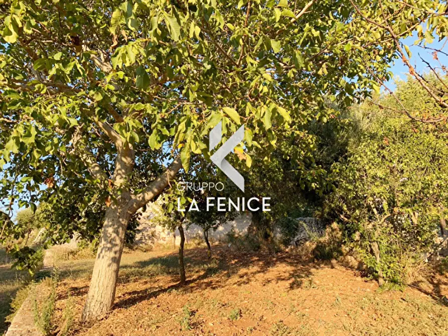 Immagine 19 di Rustico / casale in vendita  in Contrada Caporizzo a Locorotondo