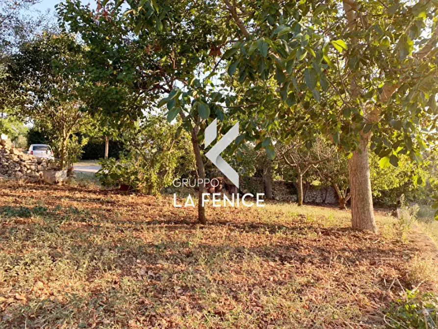 Immagine 20 di Rustico / casale in vendita  in Contrada Caporizzo a Locorotondo