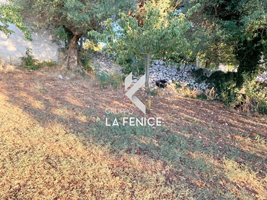 Immagine 21 di Rustico / casale in vendita  in Contrada Caporizzo a Locorotondo