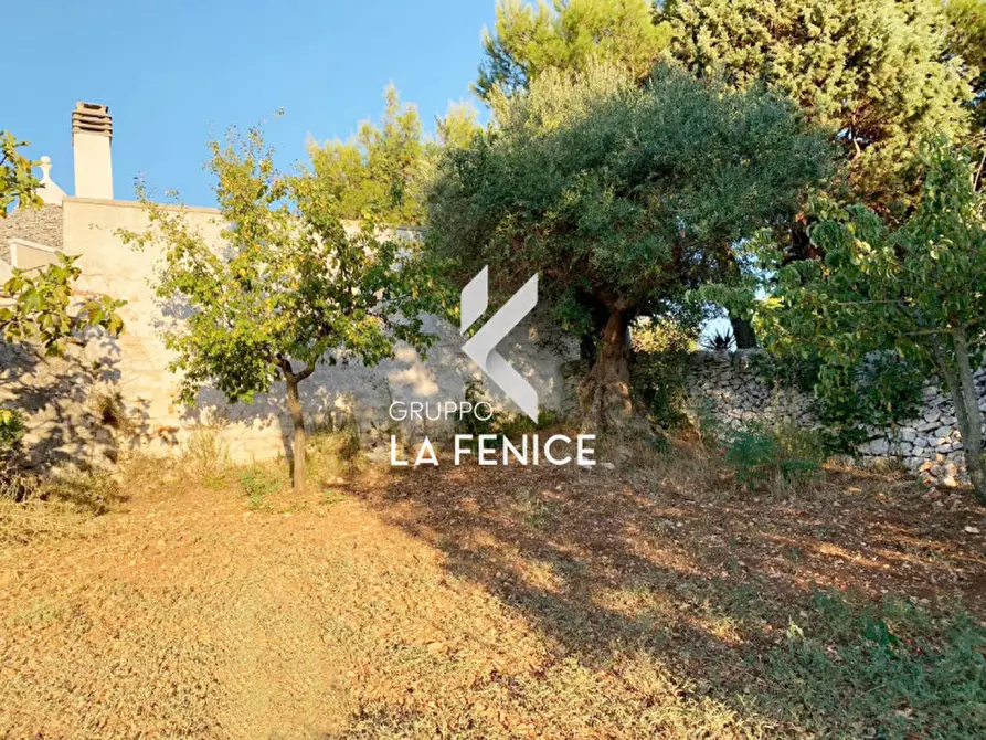 Immagine 22 di Rustico / casale in vendita  in Contrada Caporizzo a Locorotondo