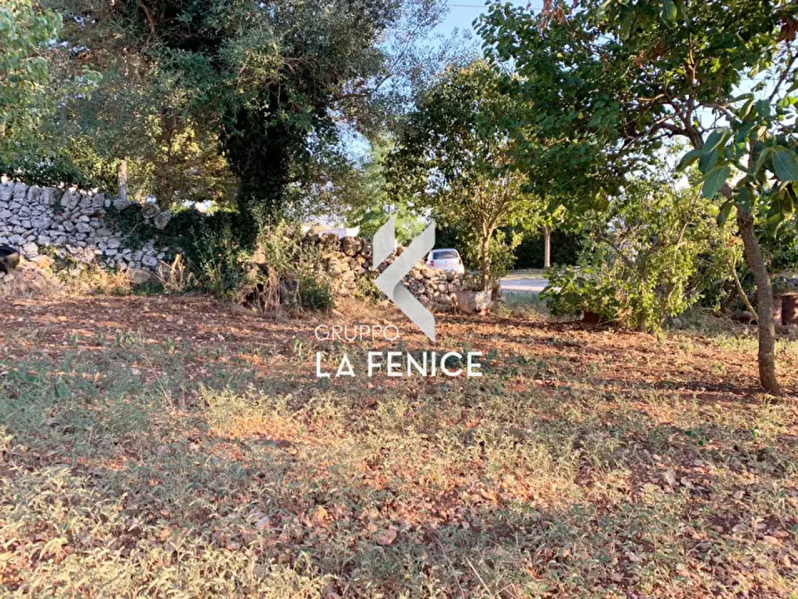 Immagine 24 di Rustico / casale in vendita  in Contrada Caporizzo a Locorotondo