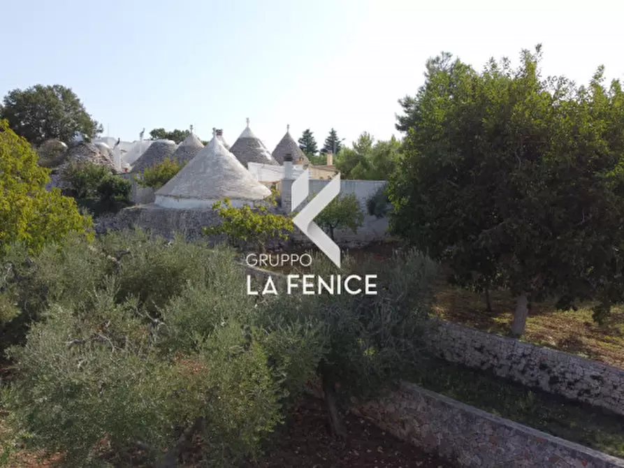 Immagine 25 di Rustico / casale in vendita  in Contrada Caporizzo a Locorotondo