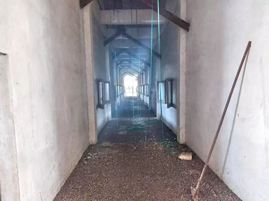 Immagine 11 di Capannone industriale in vendita  in Via Statale, 310, 98042 Giammoro ME, Italia a Pace Del Mela