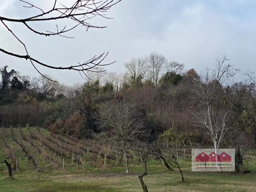 Immagine 4 di Terreno in vendita  in via della Rotonda a Vicenza