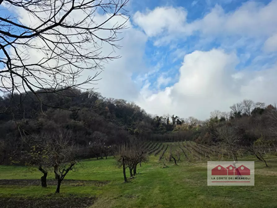 Immagine 5 di Terreno in vendita  in via della Rotonda a Vicenza