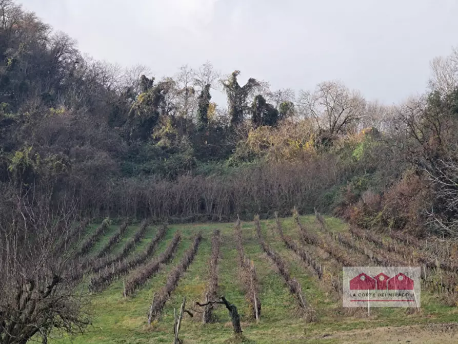 Immagine 7 di Terreno in vendita  in via della Rotonda a Vicenza
