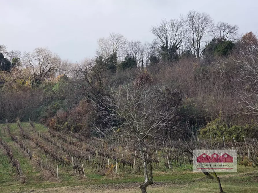Immagine 8 di Terreno in vendita  in via della Rotonda a Vicenza