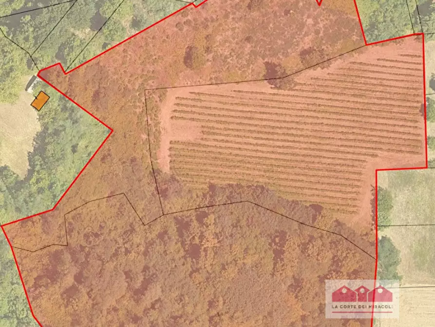 Immagine 10 di Terreno in vendita  in via della Rotonda a Vicenza