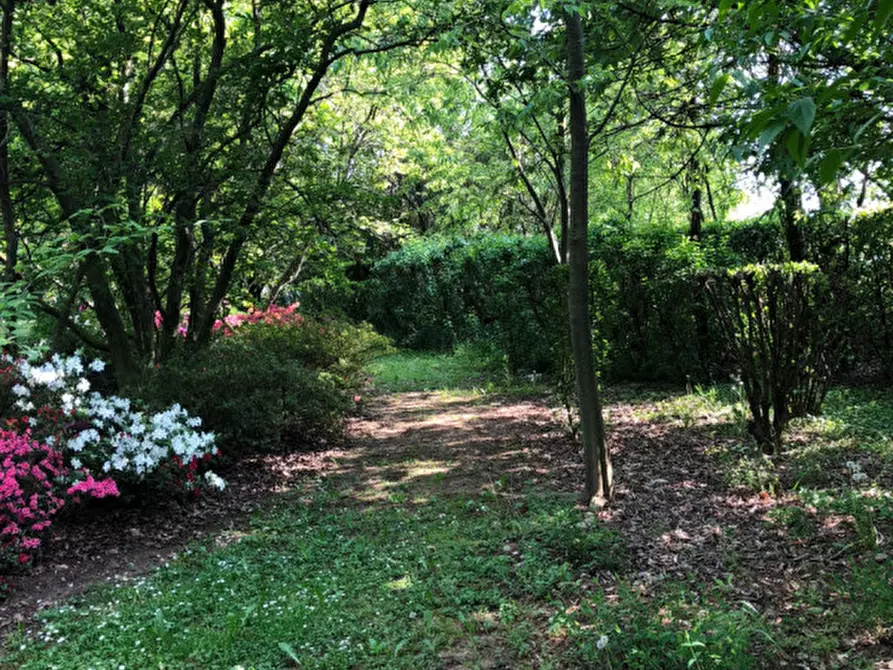 Immagine 8 di Terreno in vendita  in Corso Giuseppe Mazzini a Montebelluna