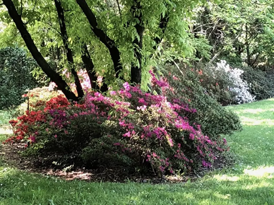 Immagine 13 di Terreno in vendita  in Corso Giuseppe Mazzini a Montebelluna