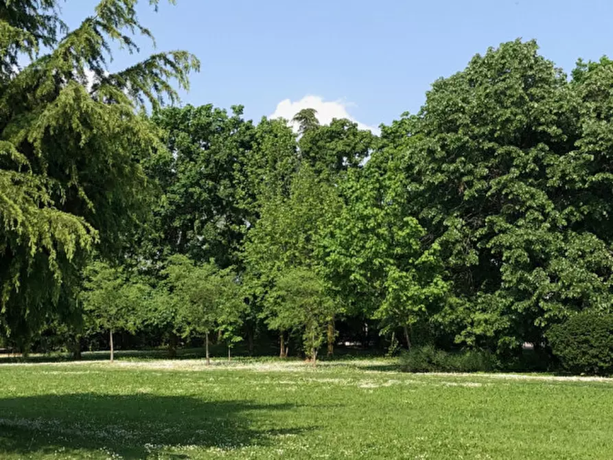 Immagine 13 di Terreno in vendita  in Corso Giuseppe Mazzini a Montebelluna