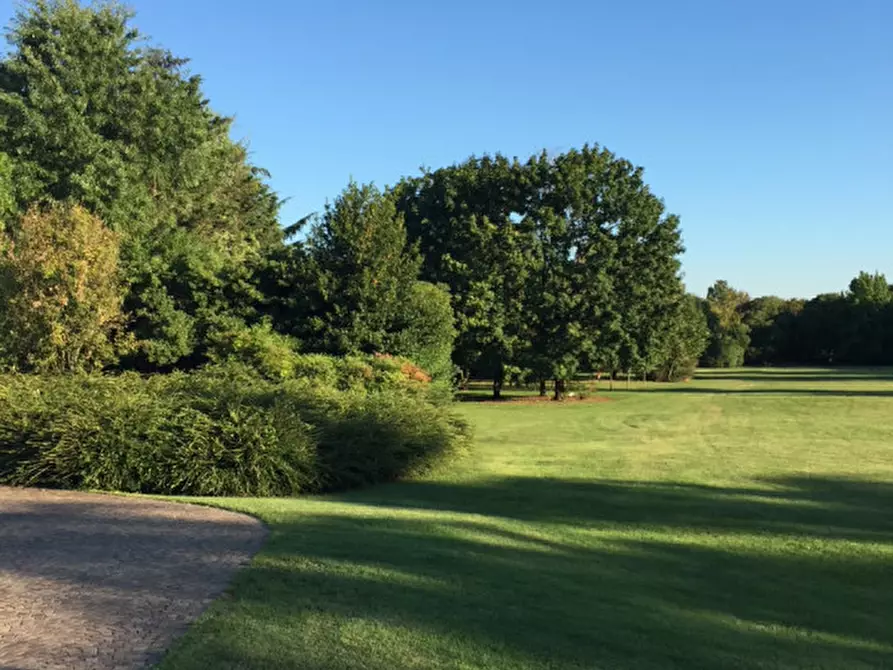 Immagine 15 di Terreno in vendita  in Corso Giuseppe Mazzini a Montebelluna