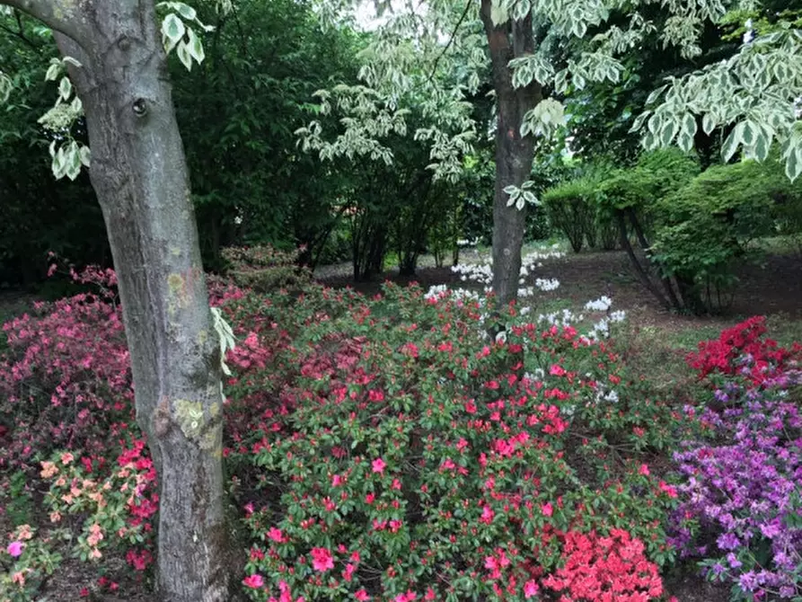 Immagine 17 di Terreno in vendita  in Corso Giuseppe Mazzini a Montebelluna