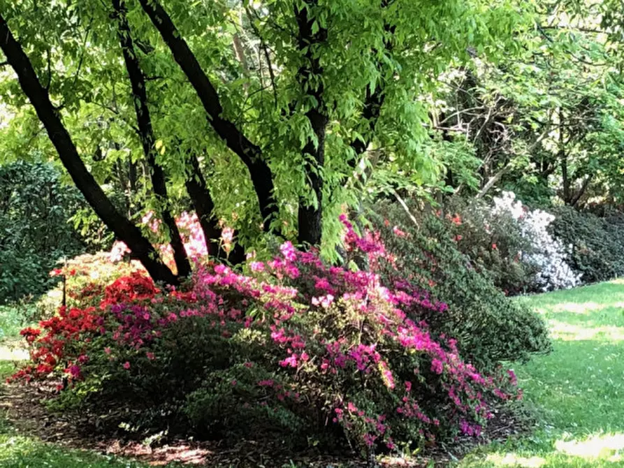 Immagine 8 di Villa in vendita  in Corso Giuseppe Mazzini a Montebelluna