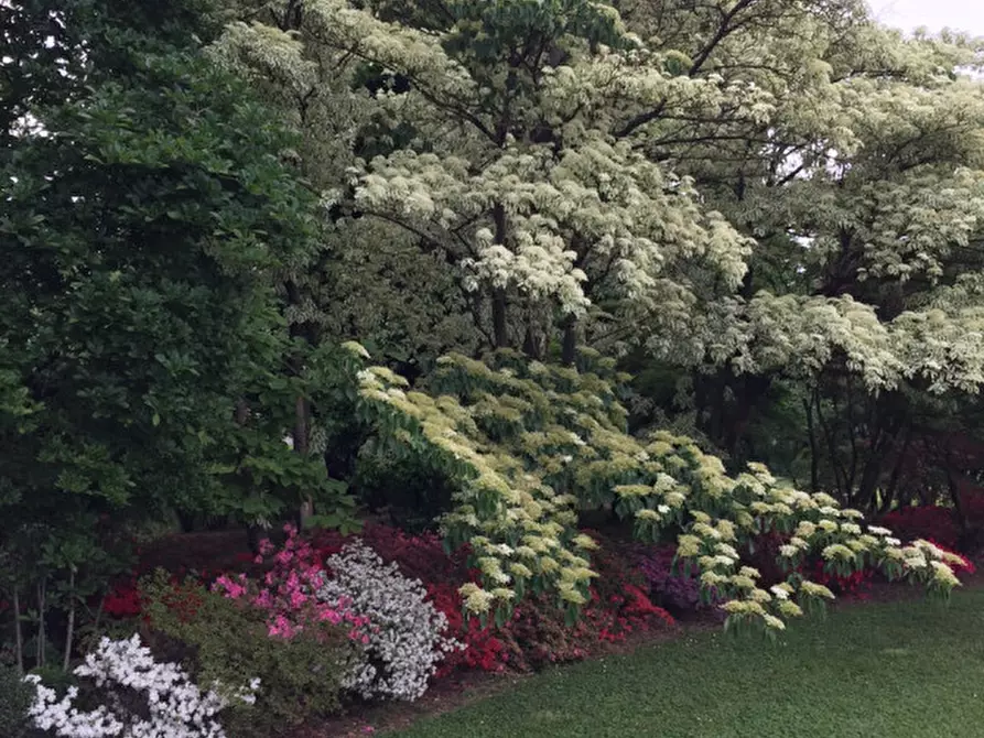 Immagine 15 di Villa in vendita  in Corso Giuseppe Mazzini a Montebelluna