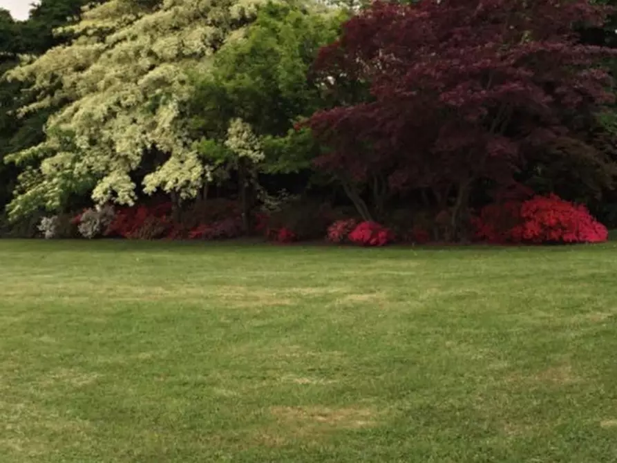 Immagine 15 di Villa in vendita  in Corso Giuseppe Mazzini a Montebelluna