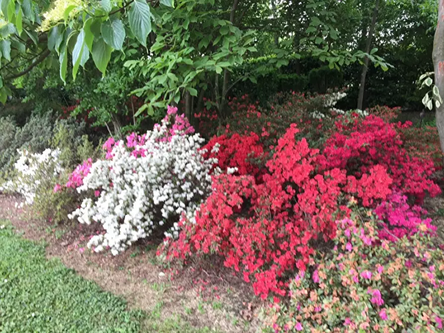 Immagine 18 di Villa in vendita  in Corso Giuseppe Mazzini a Montebelluna