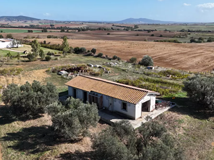 Immagine 1 di Rustico / casale in vendita  in Strada dell'abbadia a Capalbio