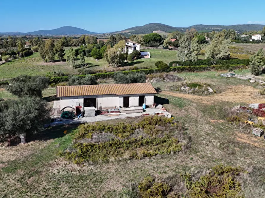 Immagine 6 di Rustico / casale in vendita  in Strada dell'abbadia a Capalbio