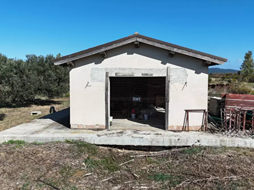 Immagine 9 di Rustico / casale in vendita  in Strada dell'abbadia a Capalbio