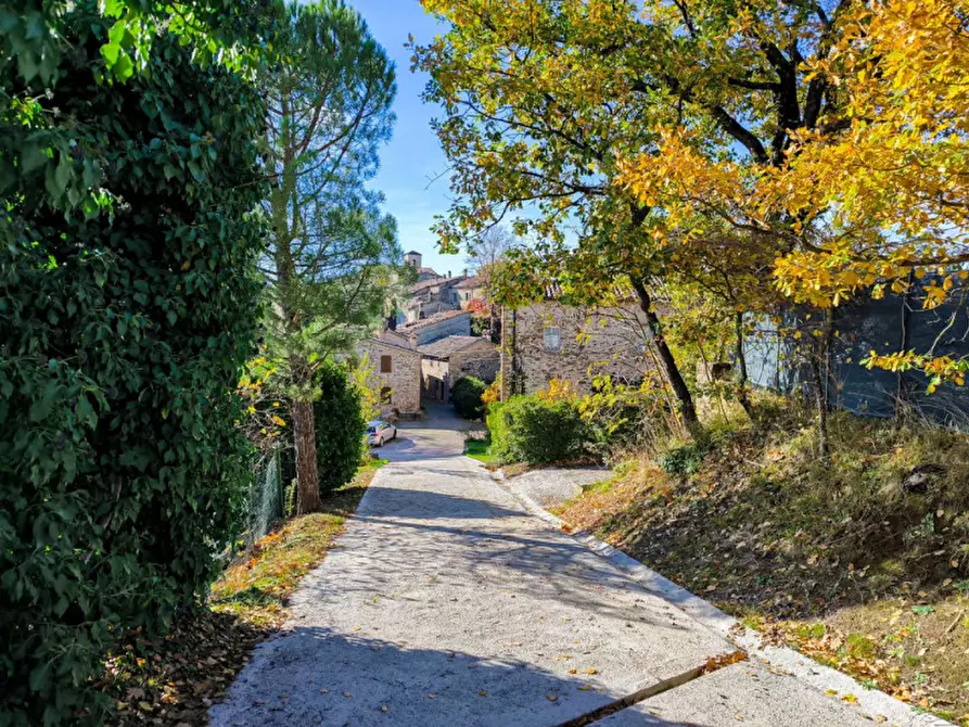 Immagine 24 di Casa indipendente in vendita  in Cavoleto a Piandimeleto