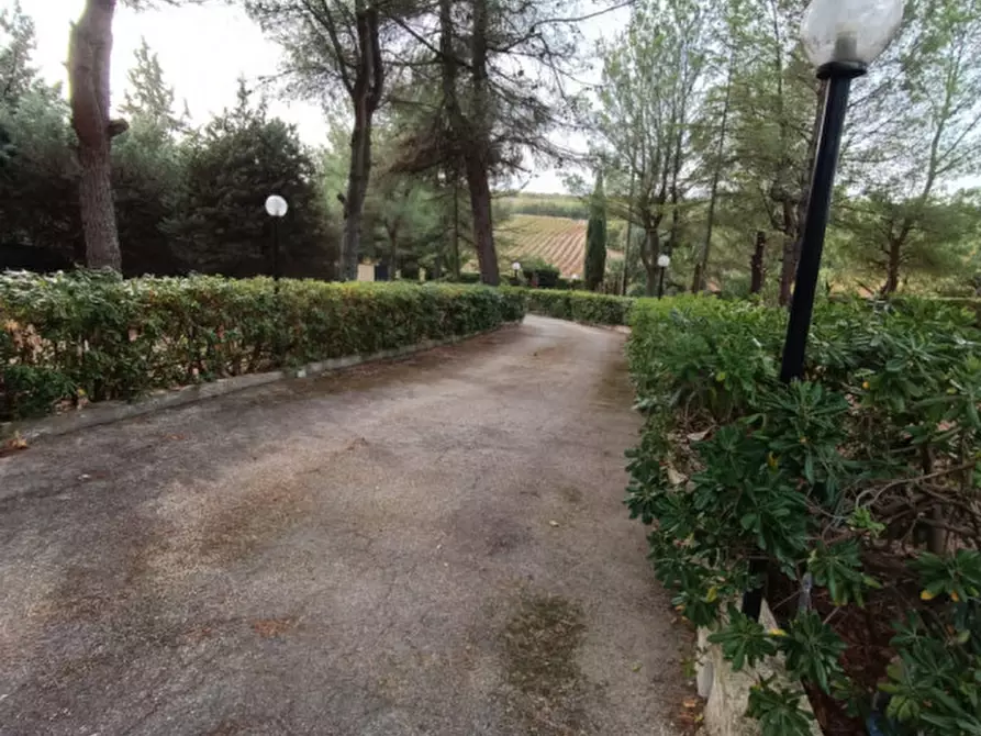 Immagine 2 di Villa in vendita  a Andria