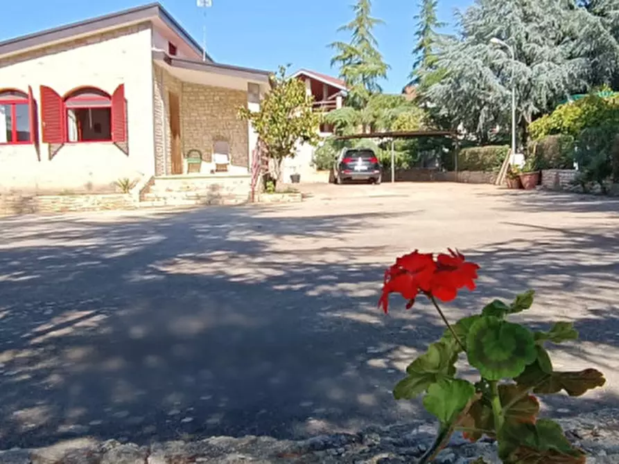 Immagine 2 di Villa in vendita  in via castel del monte a Andria