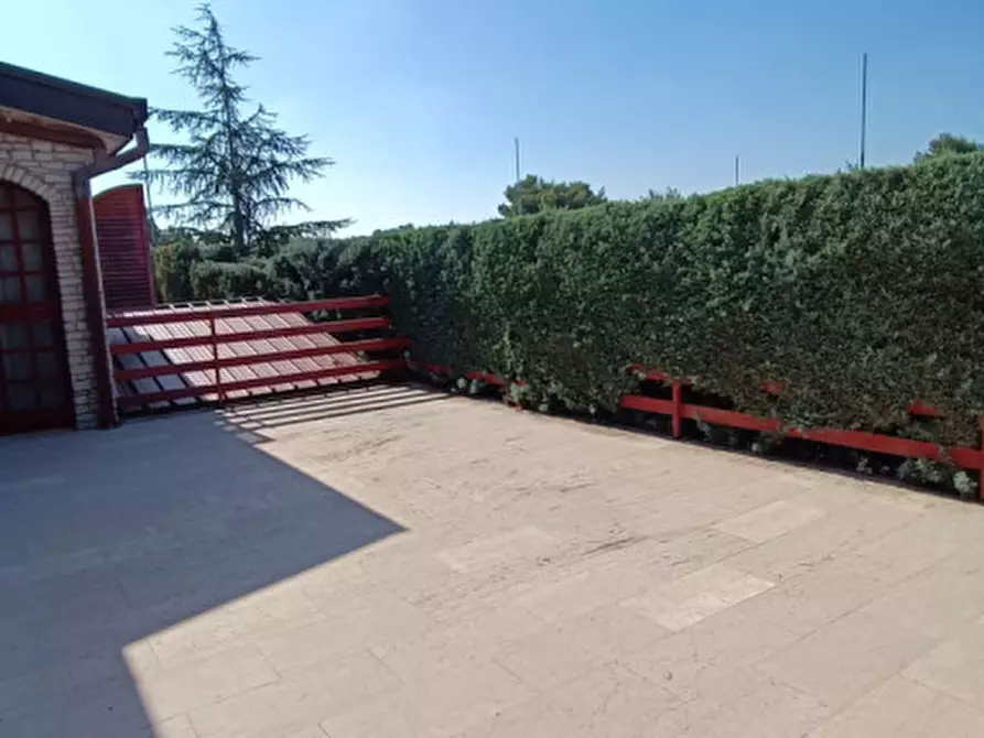 Immagine 6 di Villa in vendita  in via castel del monte a Andria