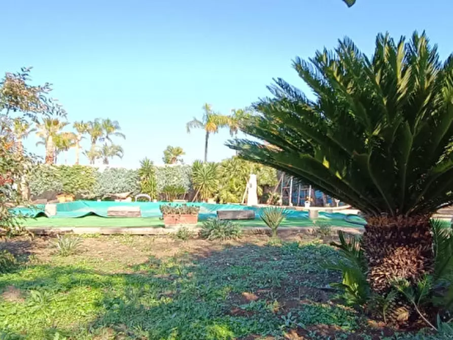 Immagine 13 di Villa in vendita  in via castel del monte a Andria