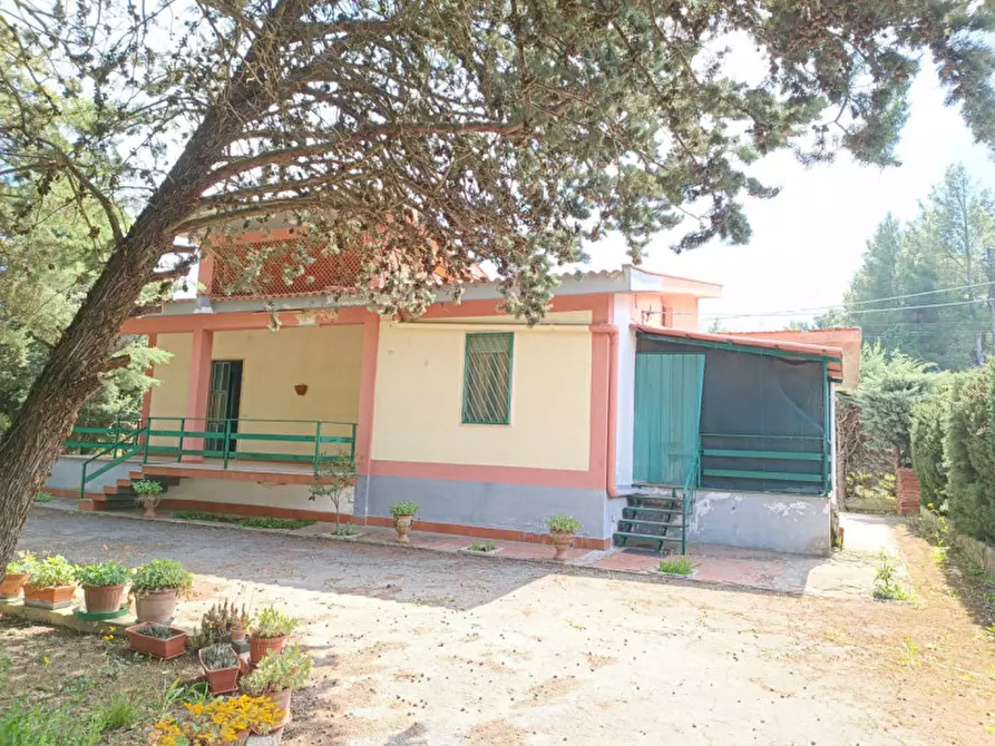 Immagine 2 di Villa in vendita  in viale dei cedri a Andria