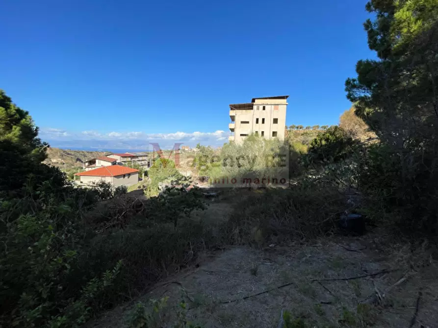 Immagine 23 di Palazzo in vendita  in Str. Santa Venere Gambarie, 38 a Reggio Di Calabria