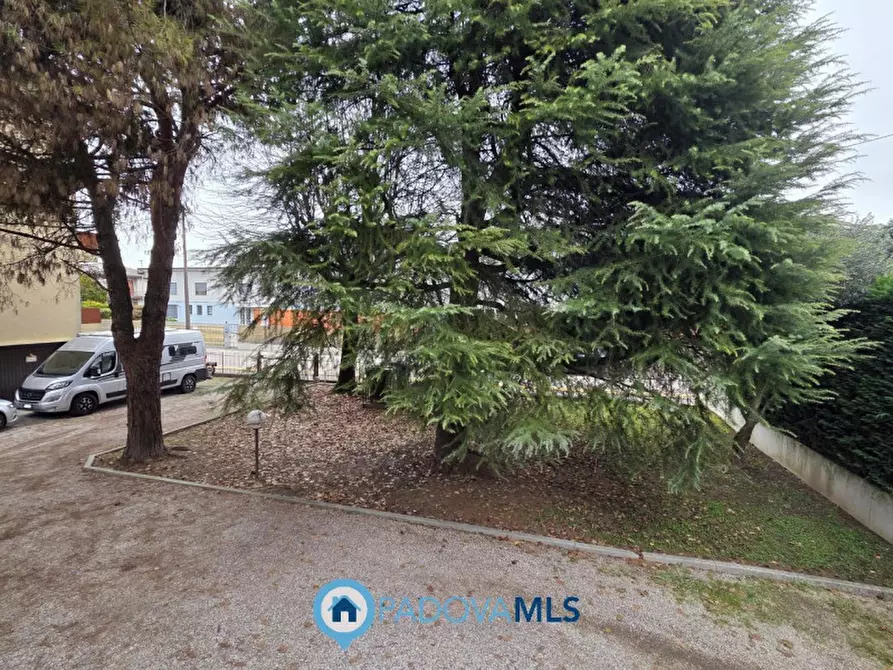 Immagine 10 di Appartamento in vendita  in Via Francesco Petrarca a Noventa Padovana