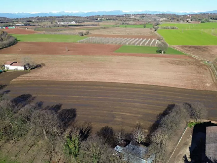 Immagine 5 di Terreno in vendita  a Volta Mantovana