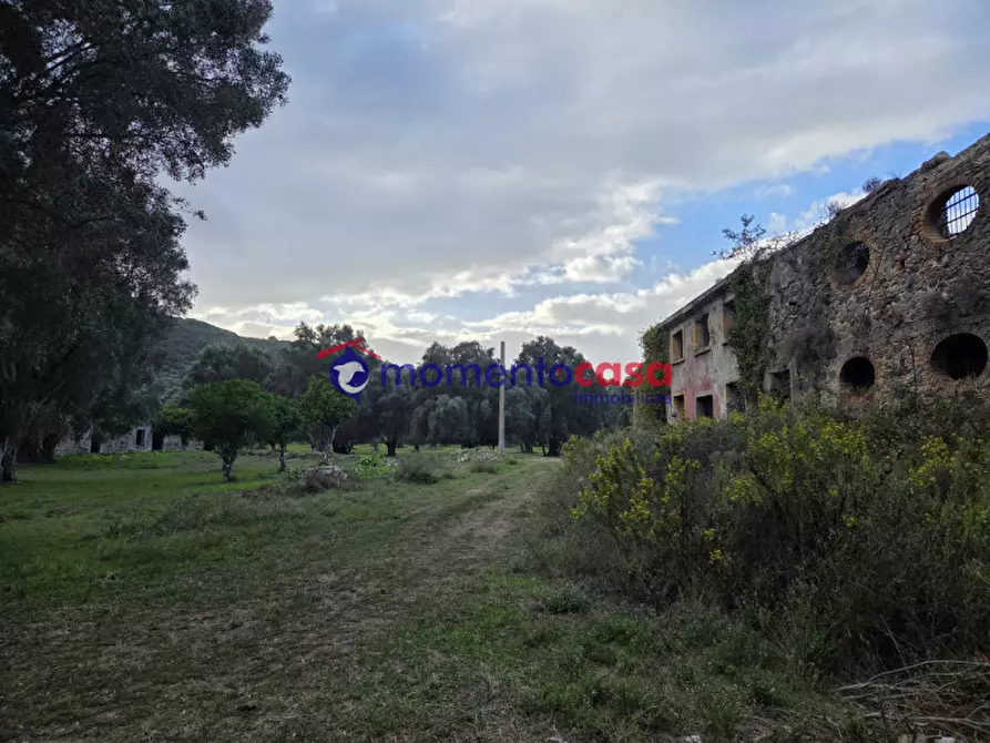 Immagine 3 di Terreno in vendita  a Seminara