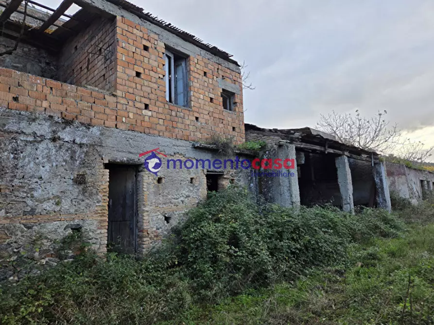 Immagine 4 di Terreno in vendita  a Seminara