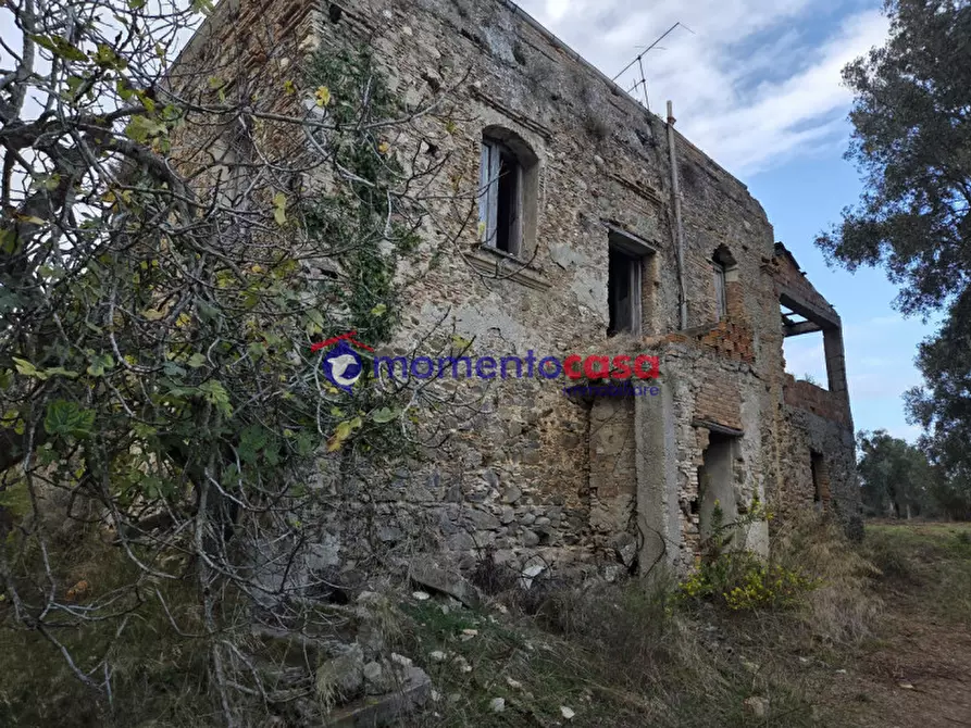 Immagine 5 di Terreno in vendita  a Seminara