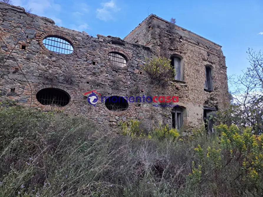 Immagine 7 di Terreno in vendita  a Seminara